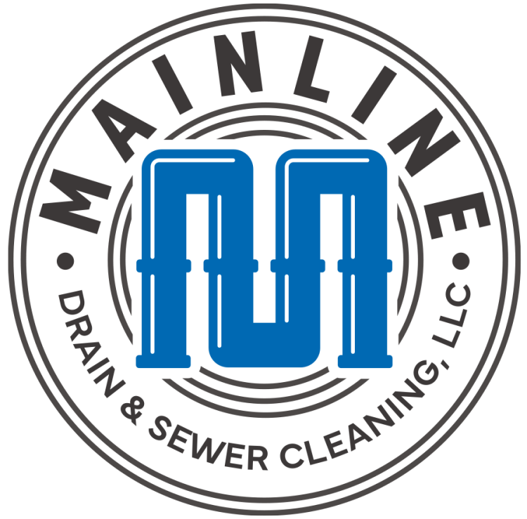 Cropped Cropped Mainlinedsc Logo